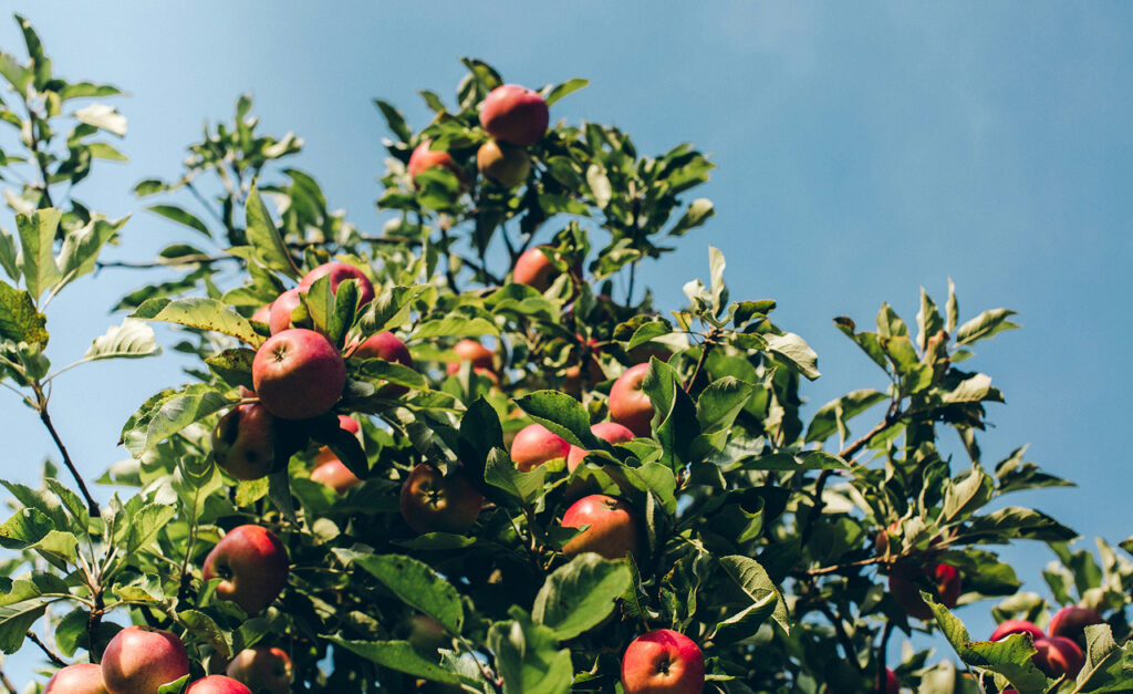 ブログイメージ